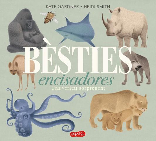 BÈSTIES ENCISADORES. UNA VERITAT SORPRENENT | 9788417222680 | GARDNER, KATE