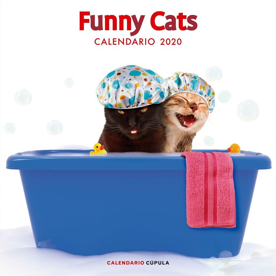 CALENDARIO 2020-FUNNY CATS  | 9788448026141 | AA. VV.