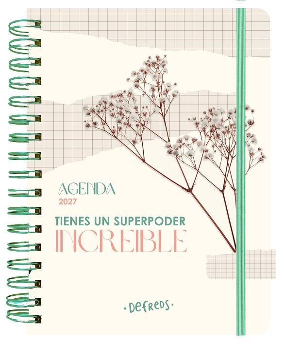 2027 AGENDA ANUAL SEMANAL (DEFREDS) | 9788419434371 | DEFREDS