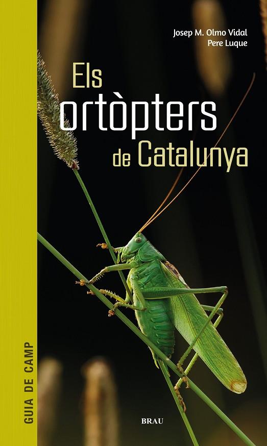 ORTÒPTERS DE CATALUNYA, ELS | 9788418096266 | OLMO VIDAL, JOSEP M/ LUQUE PINO, PERE