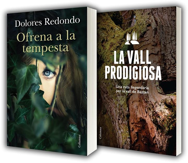 OFRENA A LA TEMPESTA + GUIA DE BAZTAN | 9788466419956 | REDONDO, DOLORES