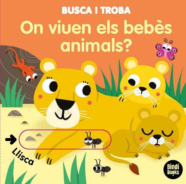 ON VIUEN ELS BEBES ANIMALS | 9788418288005 | BARETTI, SONIA