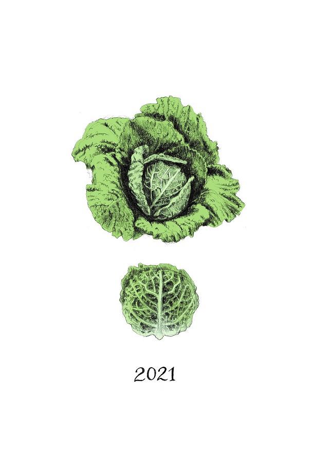 2021-CALENDARI DE LES VERDURES  | 9788412205640 | POMÉS LEIZ, JULIET