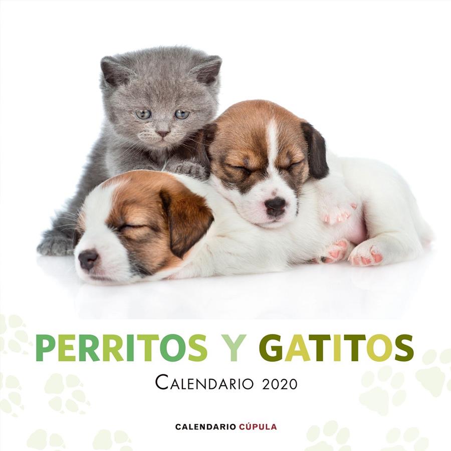 CALENDARIO 2020-PERRITOS Y GATITOS  | 9788448026172 | AA. VV.