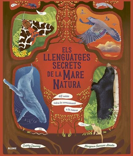 LLENGUATGES SECRETS DE LA MARE NATURA, ELS | 9788410469952 | DAWNAY, GABBY/SAMSON ABADIE, MARGAUX