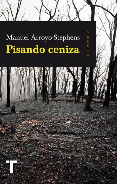 PISANDO CENIZA | 9788416142217 | ARROYO-STEPHENS, MANUEL