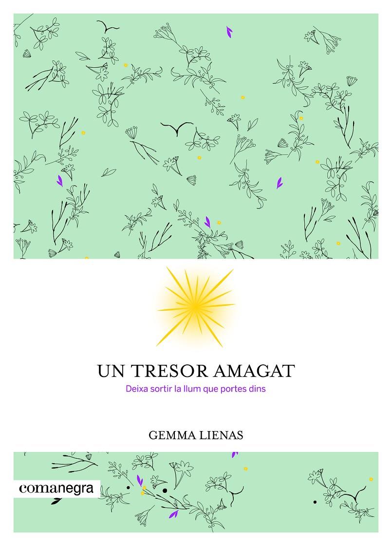 UN TRESOR AMAGAT | 9788416605347 | LIENAS, GEMMA