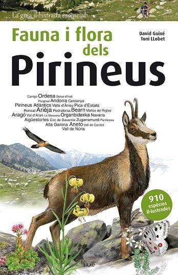 FAUNA I FLORA DELS PIRINEUS | 9788415885559 | GUIXÉ, DAVID – LLOBET, TONI