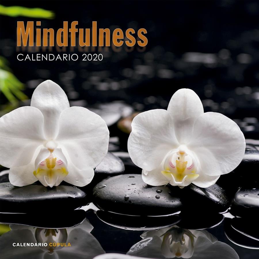 CALENDARIO 2020-MINDFULNESS  | 9788448026110 | AA. VV.