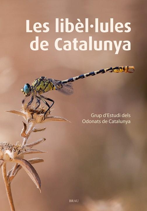 LIBÈL·LULES DE CATALUNYA, LES | 9788415885467 | GRUP D’ESTUDI DELS ODONATS DE CATALUNYA