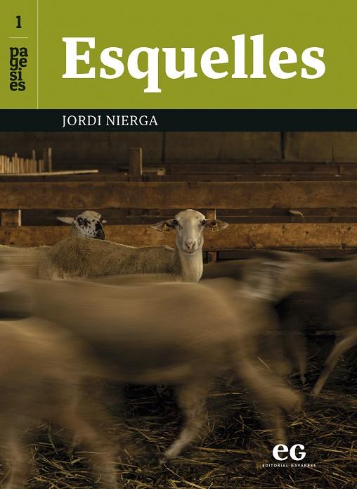 ESQUELLES | 9788419292506 | NIERGA, JORDI