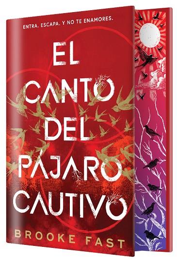 DESTINOS DIVIDIDOS 1. EL CANTO DEL PÁJARO CAUTIVO (EDICIÓN ESPECIAL LIMITADA) | 9791387711764 | FAST, BROOKE