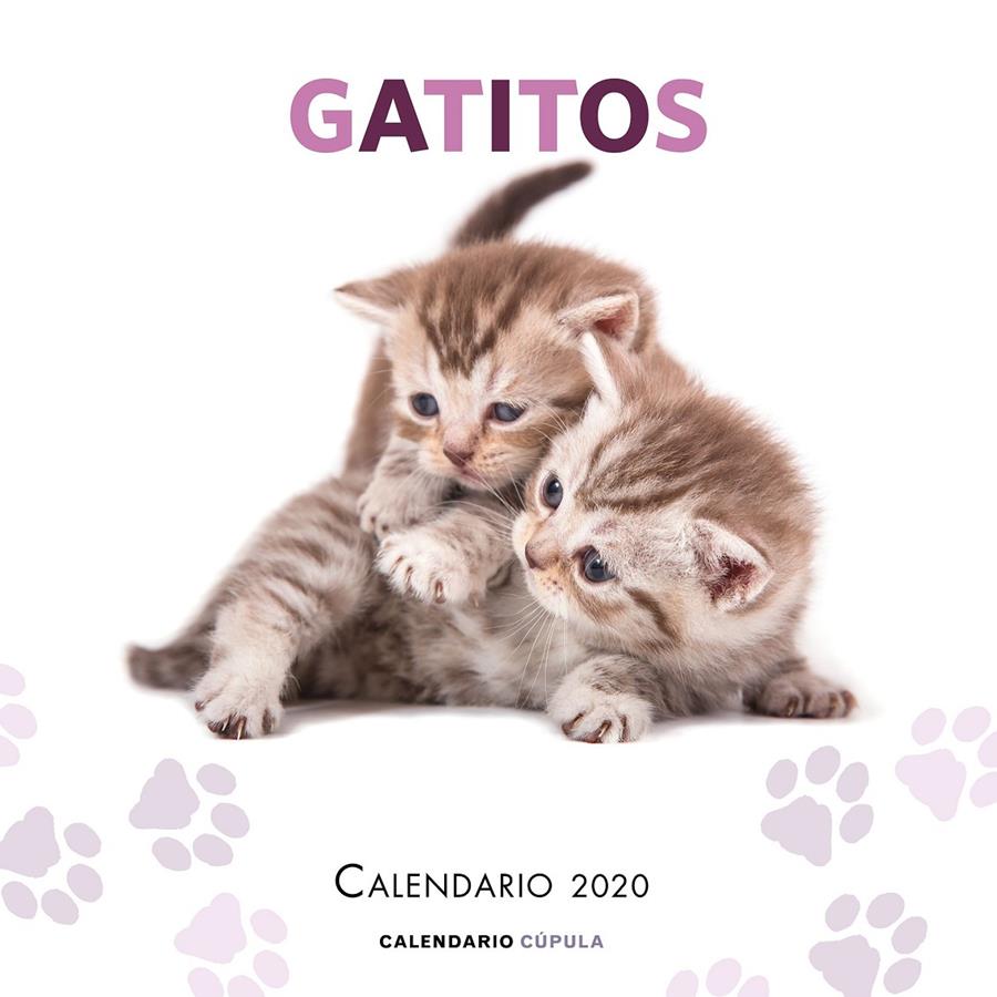 CALENDARIO 2020-GATITOS  | 9788448026165 | AA. VV.