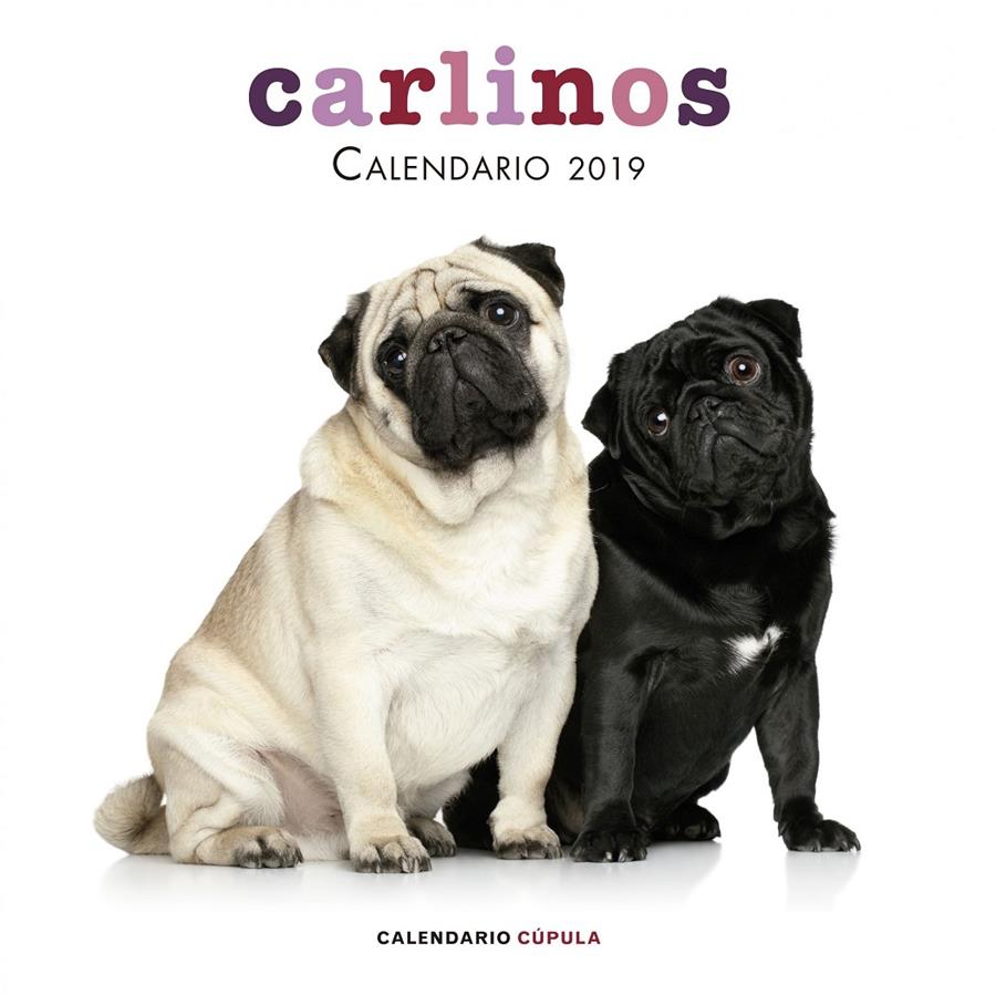 2019-CALENDARIO CARLINOS  | 9788448024680 | AA. VV.