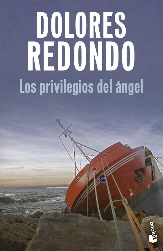 PRIVILEGIOS DEL ÁNGEL, LOS | 9788423369515 | REDONDO, DOLORES