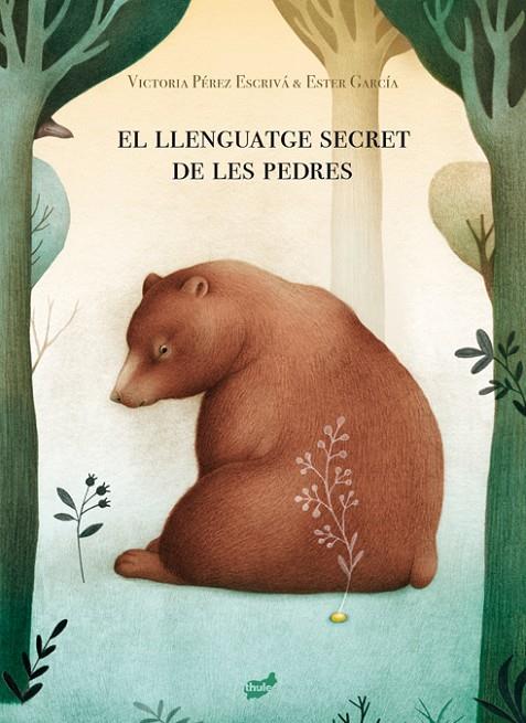  LLENGUATGE SECRET DE LES PEDRES | 9788418702013 | PÉREZ ESCRIVÁ, VICTORIA