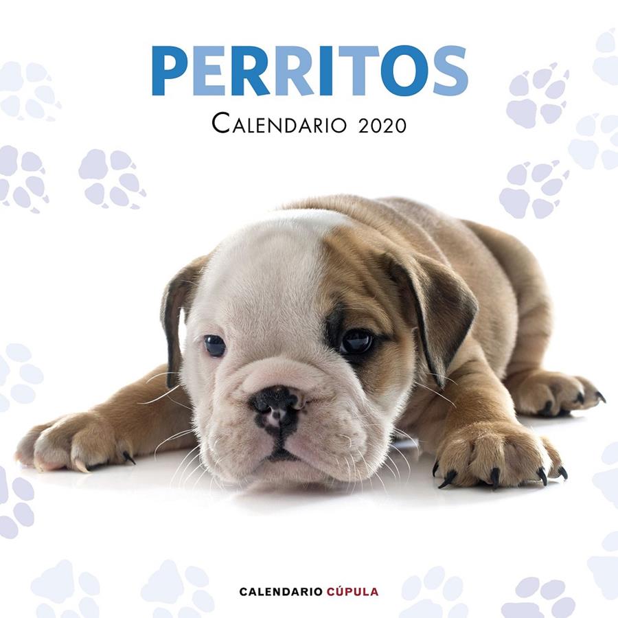 CALENDARIO 2020-PERRITOS  | 9788448026158 | AA. VV.