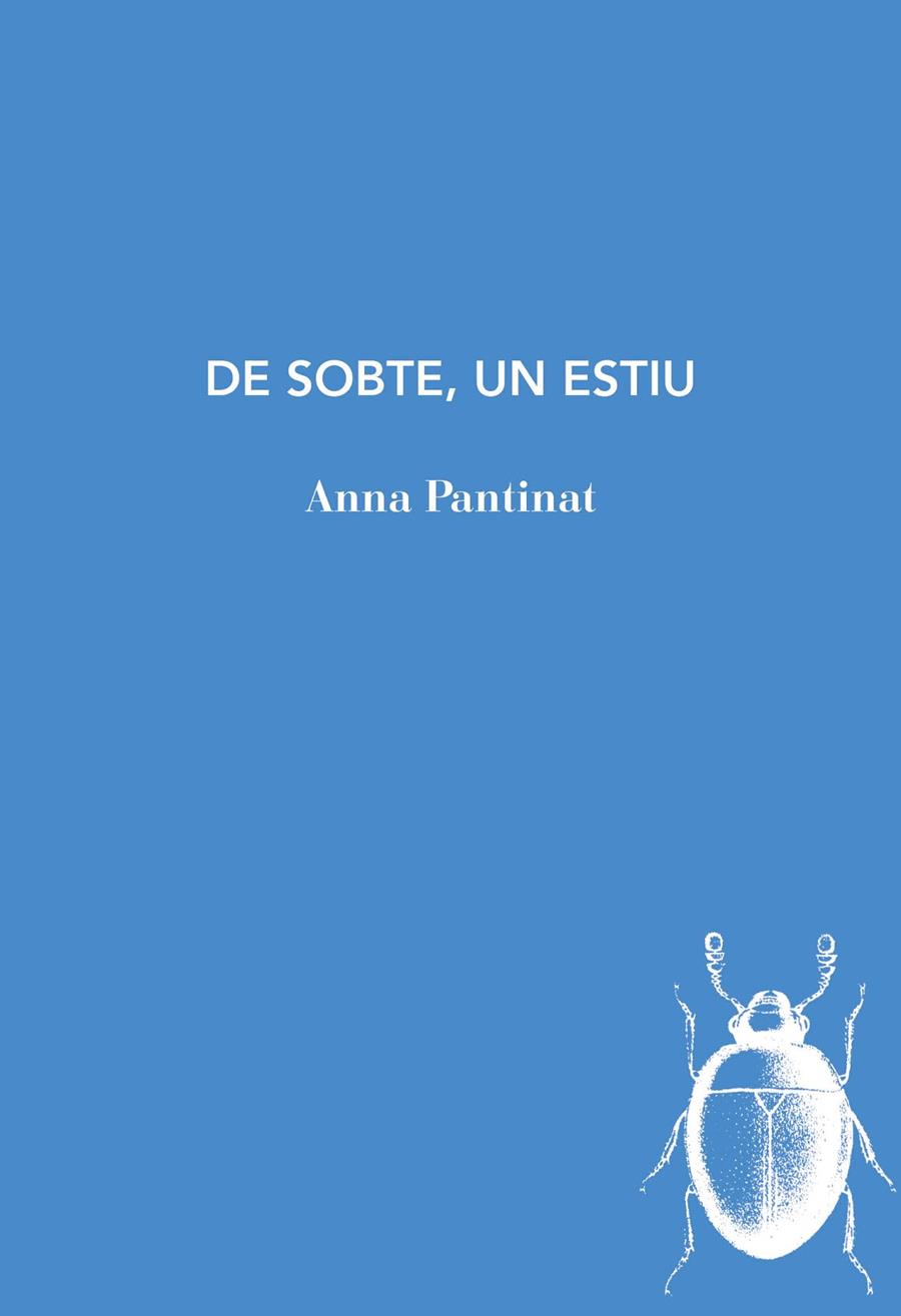 DE SOBTE UN ESTIU | 9788494289743 | PANTINAT, ANNA