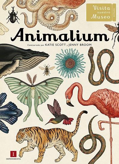 ANIMALIUM | 9788415979463 | SCOTT, KATIE/ BROOM, JENNY