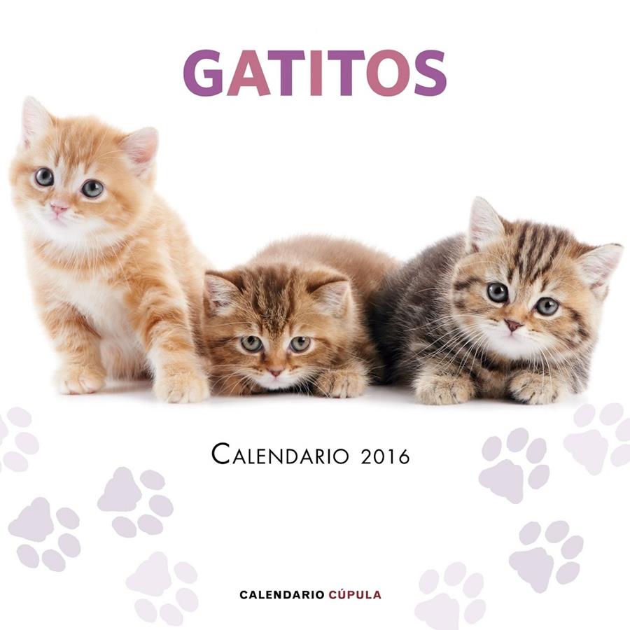 2016-CALENDARIO GATITOS  | 9788448021719 | AA. VV.