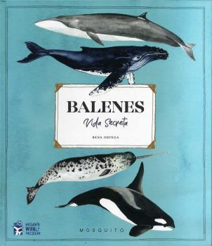BALENES VIDA SECRETA | 9788412247954 | ORTEGA, RENA
