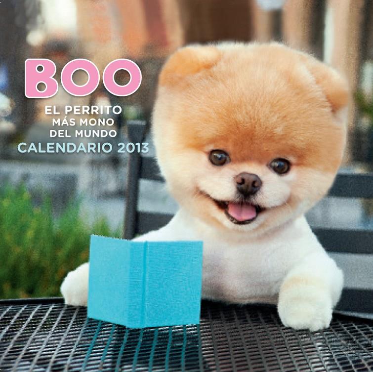 2013-CALENDARIO BOO EL PERRITO MAS MONO DEL MUNDO 2 | 9788448005313 | AA. VV.