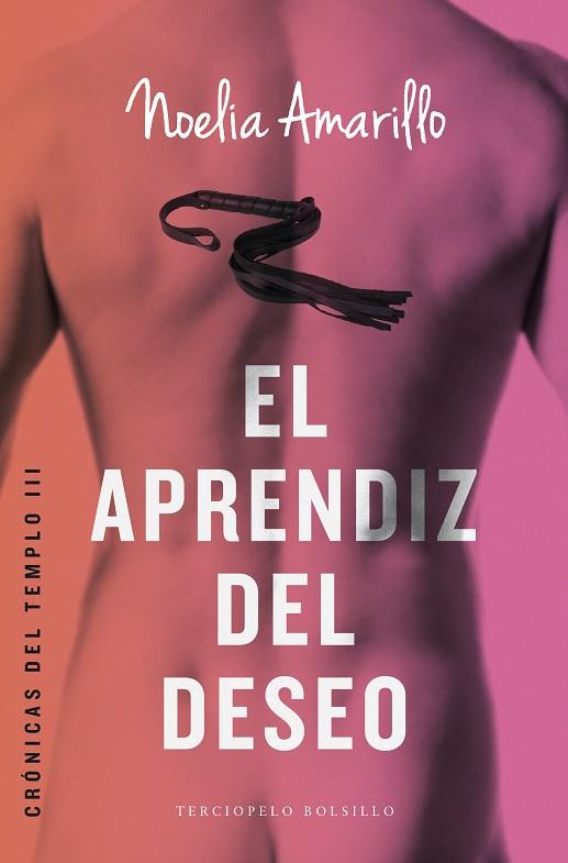 APRENDIZ DEL DESEO, EL | 9788415952916 | AMARILLO, NOELIA