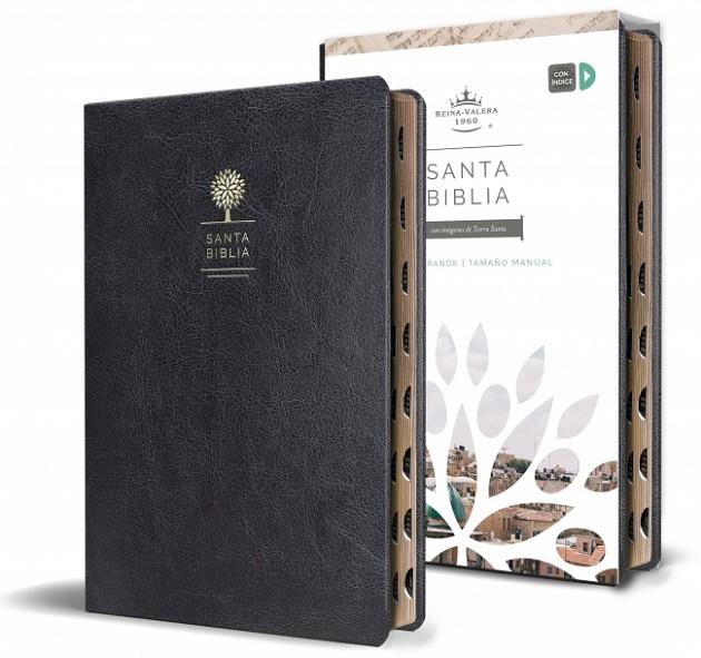 BIBLIA REINA VALERA 1960 LETRA GRANDE. SÍMIL PIEL NEGRO/ EVANGÈLICA | 9781644732168 | REINA VALERA REVISADA