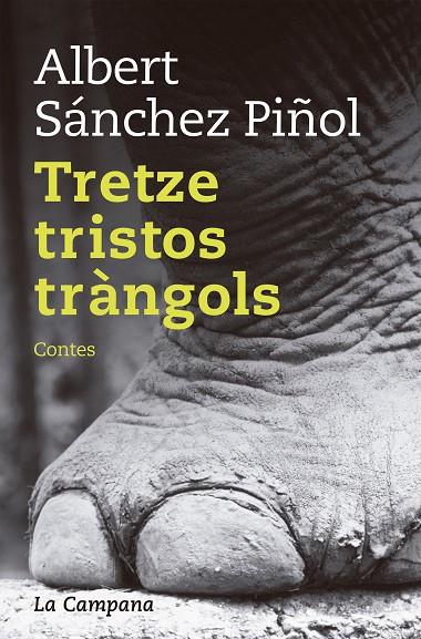 TRETZE TRISTOS TRÀNGOLS | 9788416863082 | SÁNCHEZ PIÑOL, ALBERT