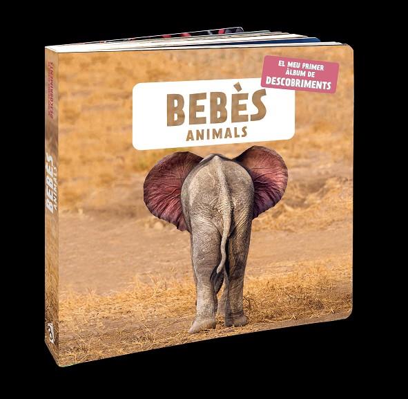 BEBÈS ANIMALS (CATALA) | 9788418762109 | NATURAGENCY