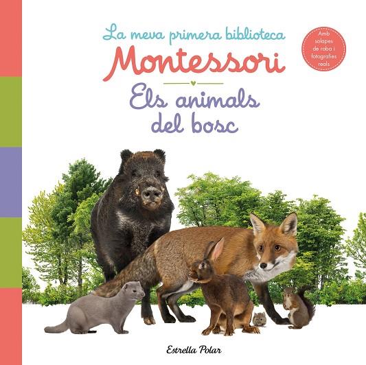 ANIMALS DEL BOSC. LA MEVA PRIMERA BIBLIOTECA MONTESSORI | 9788413890159 | AA. VV.