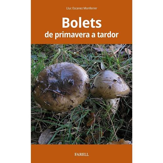 BOLETS DE PRIMAVERA A TARDOR | 9788417116538 | ESCANEZ, LLUC