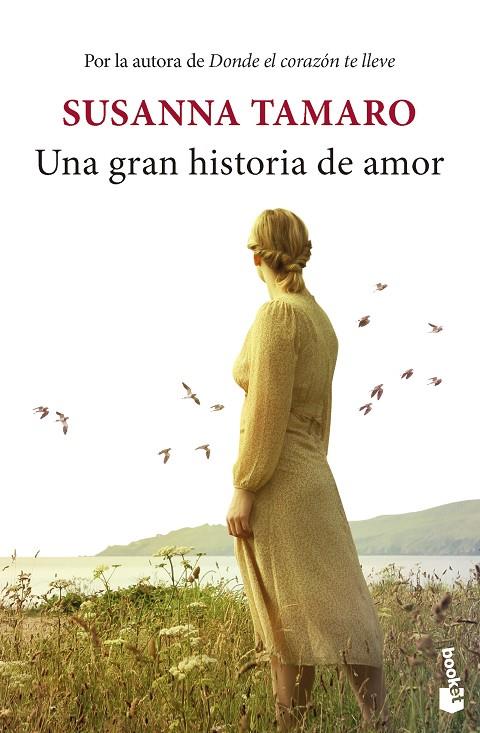 UNA GRAN HISTORIA DE AMOR | 9788432242618 | TAMARO, SUSANNA