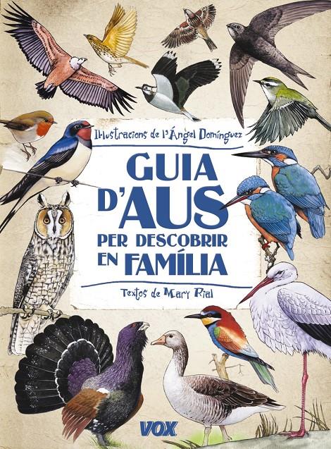 GUIA D' AUS PER DESCOBRIR EN FAMILIA | 9788499740881 | DOMÍNGUEZ GAZPIO, ÁNGEL