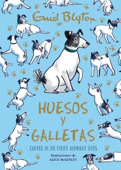 HUESOS Y GALLETAS | 9788469664582 | BLYTON, ENID
