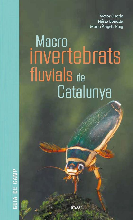 MACROINVERTEBRATS FLUVIALS DE CATALUNYA | 9788418096204 | OSORIO ÁLVAREZ, VÍCTOR/PUIG GARCÍA, M. ÁNGELES/BONADA CAPARRÓS, NÚRIA
