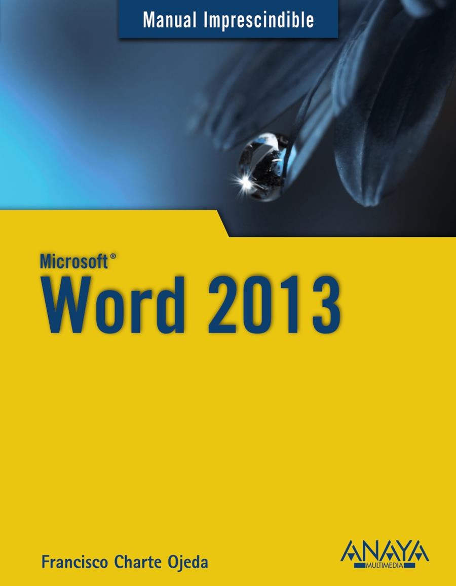 WORD 2013 | 9788441534131 | CHARTE, FRANCISCO