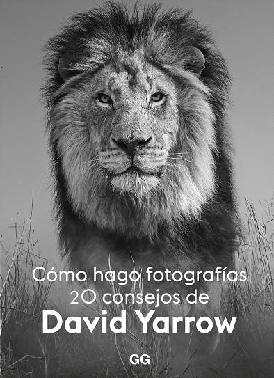 CÓMO HAGO FOTOGRAFÍAS | 9788425233265 | YARROW, DAVID