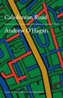 CALEDONIAN ROAD | 9788417353650 | ANDREW O'HAGAN