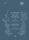 LA MAGIA DE LAS PLANTAS VOL.4.VOL. ELEMENTO AGUA. EL TALLO Y LAS HOJAS | 9788425235641 | GAYOSO, ANA