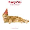 CALENDARIO FUNNY CATS 2021 | 9788448027674 | AA. VV.