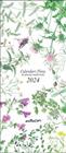2024 CALENDARI FLORA DE PLANTES MEDICINALS  | 9788418900624 | VILALDAMA, PERE