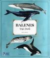 BALENES VIDA SECRETA | 9788412247954 | ORTEGA, RENA