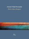 ENTRE DUES FOSQUES | 9788410488434 | VIDAL FERRANDO, ANTONI