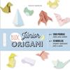 ORIGAMI BLOC JÚNIOR | 9788417720124 | BOURSIN, DIDIER