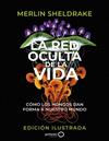 RED OCULTA DE LA VIDA, LA/  (EDICIÓN ILUSTRADA) | 9788408276692 | SHELDRAKE, MERLIN
