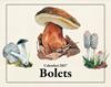 2027 CALENDARI BOLETS | 8415001051319