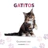 2025 CALENDARIO GATITOS  | 9788448041656 | AA. VV.