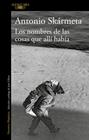 NOMBRES DE LAS COSAS QUE ALLÍ HABÍA, LOS | 9788420435947 | SKÁRMETA, ANTONIO