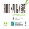3000 PIRINEOS - MAPA DE RASCAR 1:175000 | 9788470111945